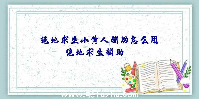 「绝地求生小黄人辅助怎么用」|绝地求生辅助dnf